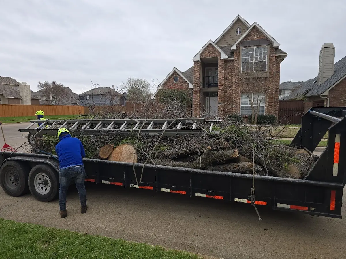 Expert Tree Fertilization with proper safety equipment in Dunn